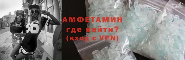 PSILOCYBIN Ладушкин
