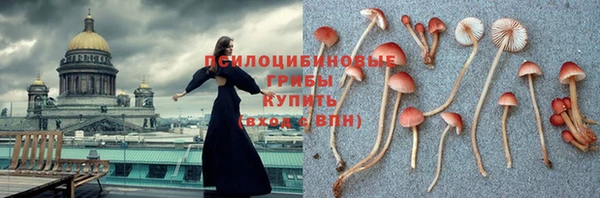 тгк Лагань