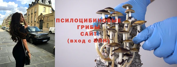 дмт Абинск