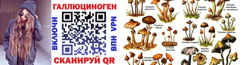 Галлюциногенные грибы Psilocybine cubensis  мега ТОР  Старый Крым 